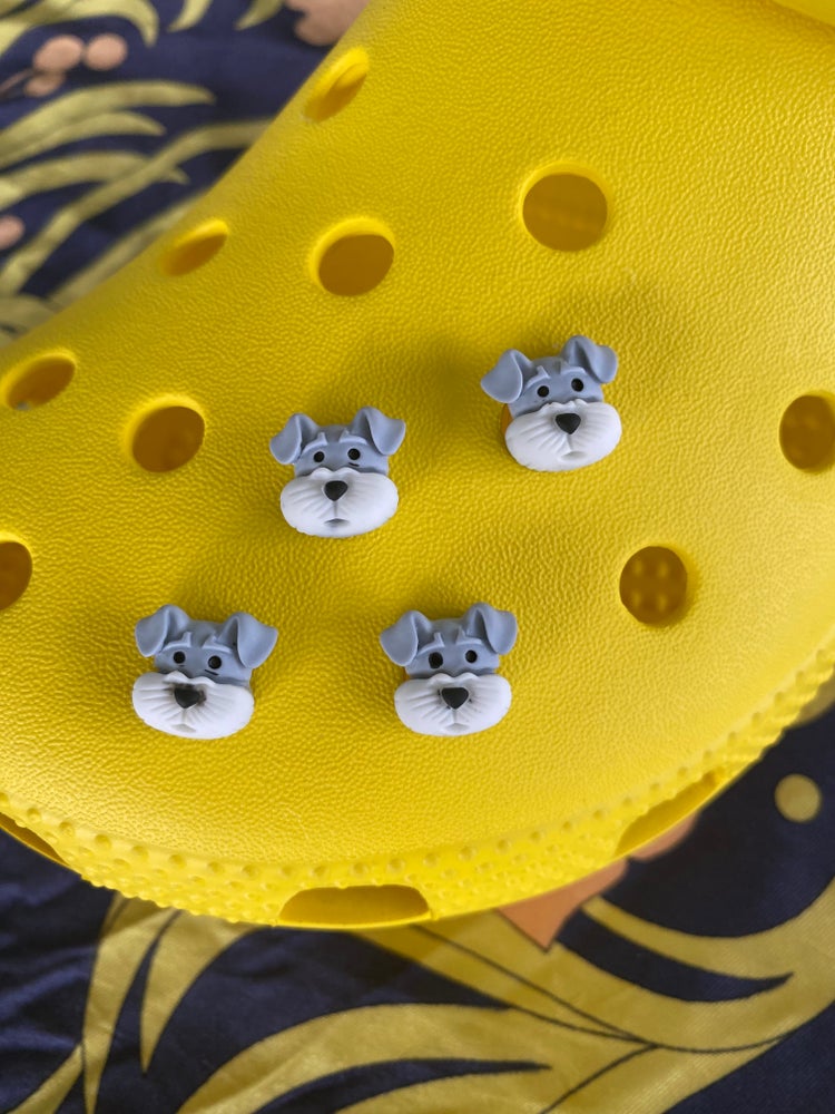 Schnauzers Funky Crocs