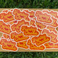 Funky Crocs Logo Stickers